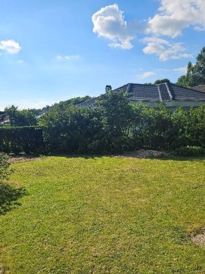 10 Trädfällning Tujor 150 dpi Efter