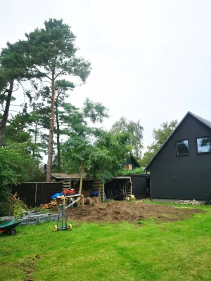 2 Trädfällning Stora Granen Efter