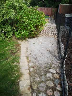 25 Kullerstenläggning efter stubbfräsning