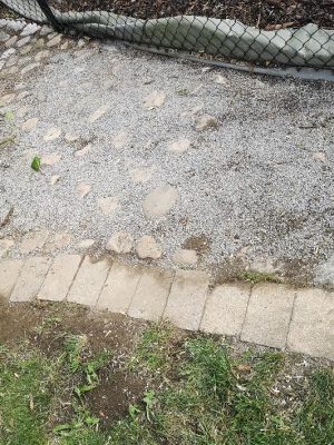 26 Kullerstenläggning efter stubbfräsning