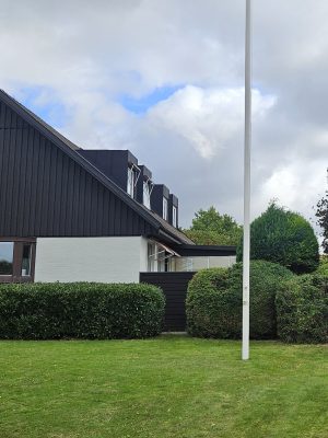 Trädfällning Helsingborg Rönn