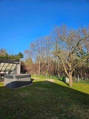 6 Trädfällning Granar 150 dpi Efter