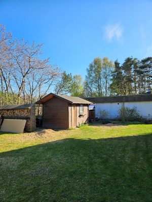 8 Trädfällning körsbär 150 dpi efter